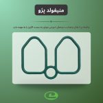 منیفولد پژو